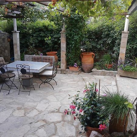 Sea-Side Old Stone Villa With A Private Garden Μπούντβα Εξωτερικό φωτογραφία