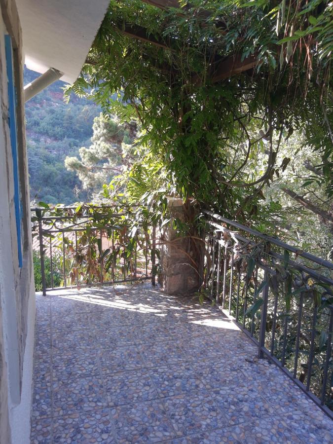Sea-Side Old Stone Villa With A Private Garden Μπούντβα Εξωτερικό φωτογραφία