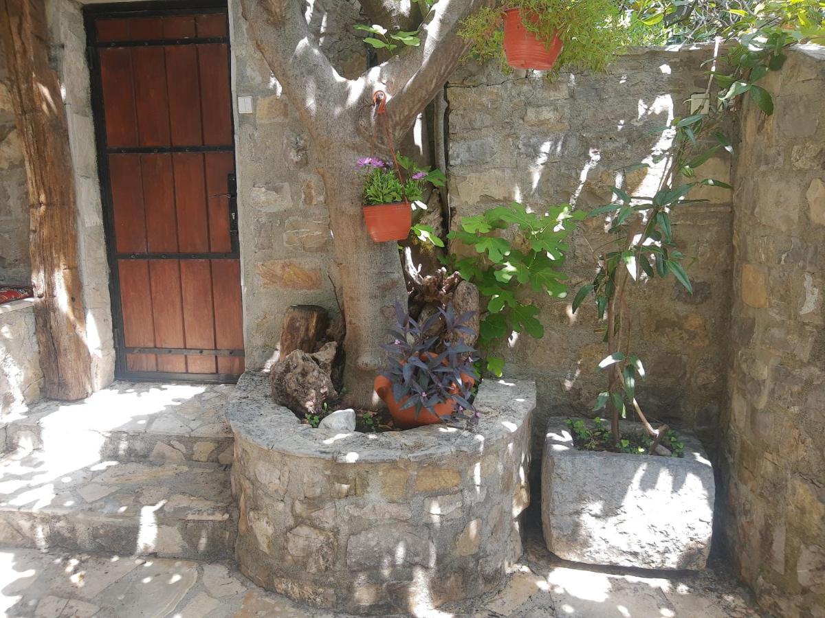 Sea-Side Old Stone Villa With A Private Garden Μπούντβα Εξωτερικό φωτογραφία