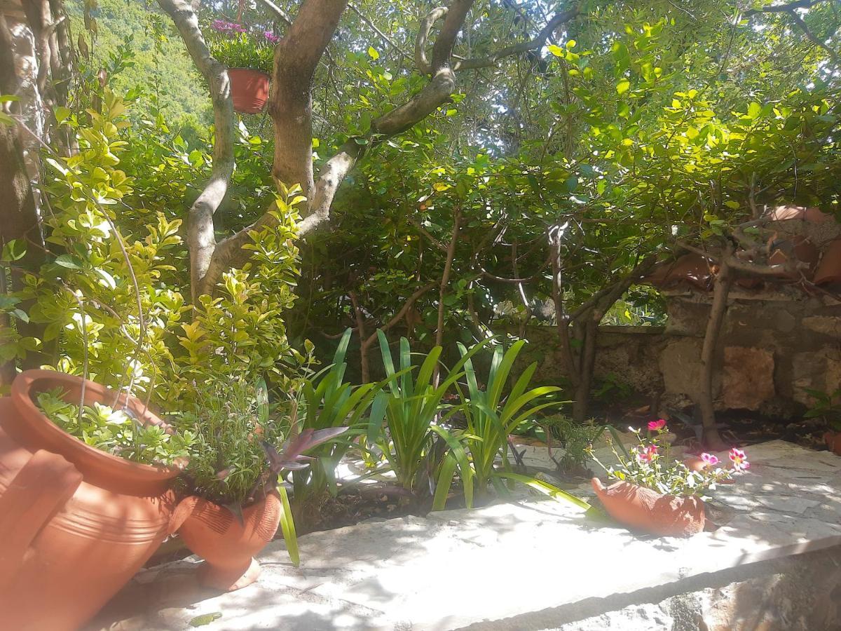 Sea-Side Old Stone Villa With A Private Garden Μπούντβα Εξωτερικό φωτογραφία