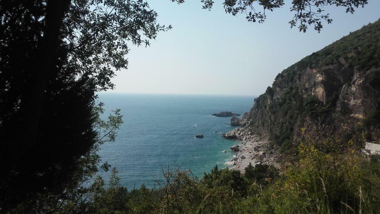 Sea-Side Old Stone Villa With A Private Garden Μπούντβα Εξωτερικό φωτογραφία