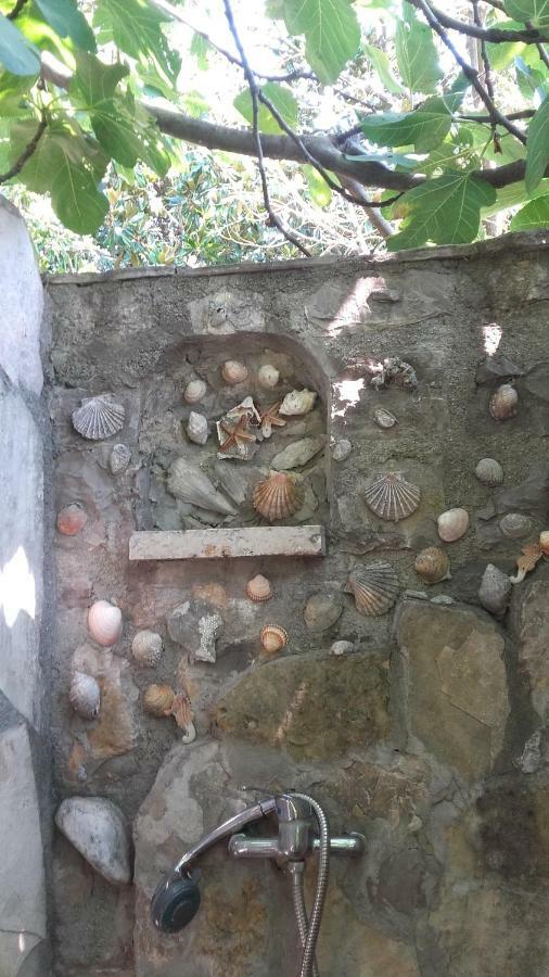 Sea-Side Old Stone Villa With A Private Garden Μπούντβα Εξωτερικό φωτογραφία