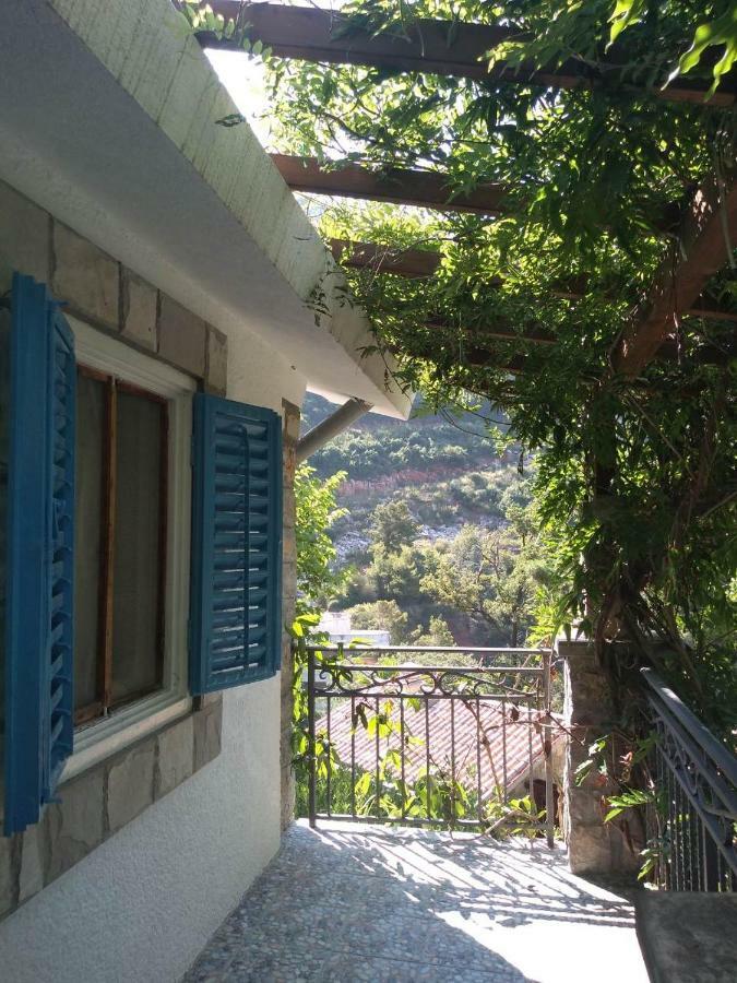 Sea-Side Old Stone Villa With A Private Garden Μπούντβα Εξωτερικό φωτογραφία